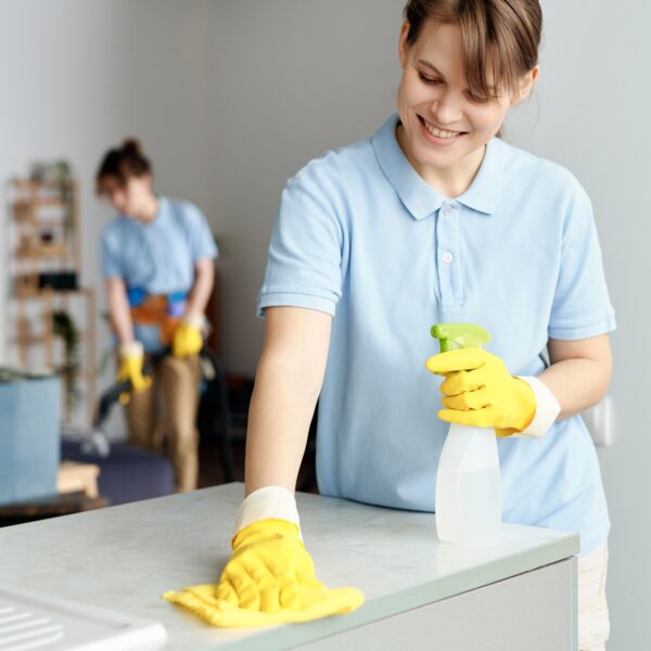 Cleaning service workers doing housework in team